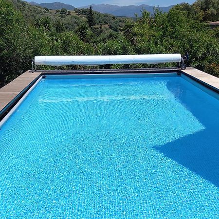 L'Amandier -Le Figuier-Les Lauriers Roses Ajaccio  Esterno foto