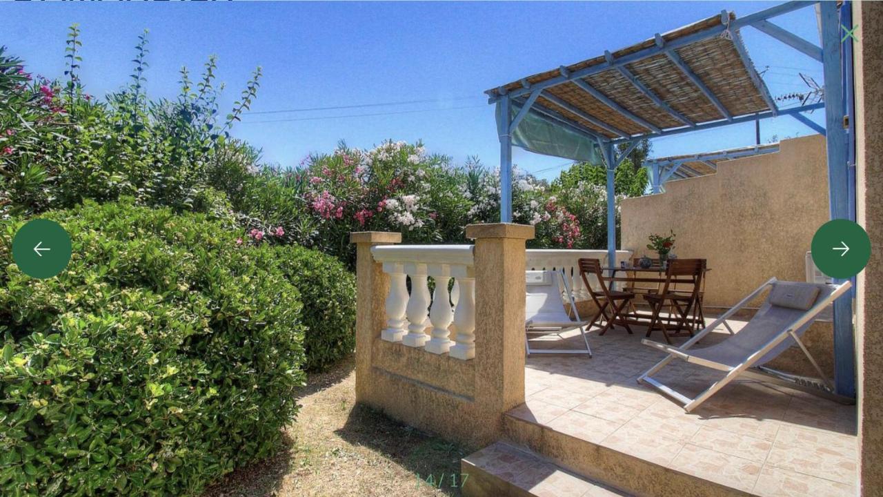 L'Amandier -Le Figuier-Les Lauriers Roses Ajaccio  Esterno foto