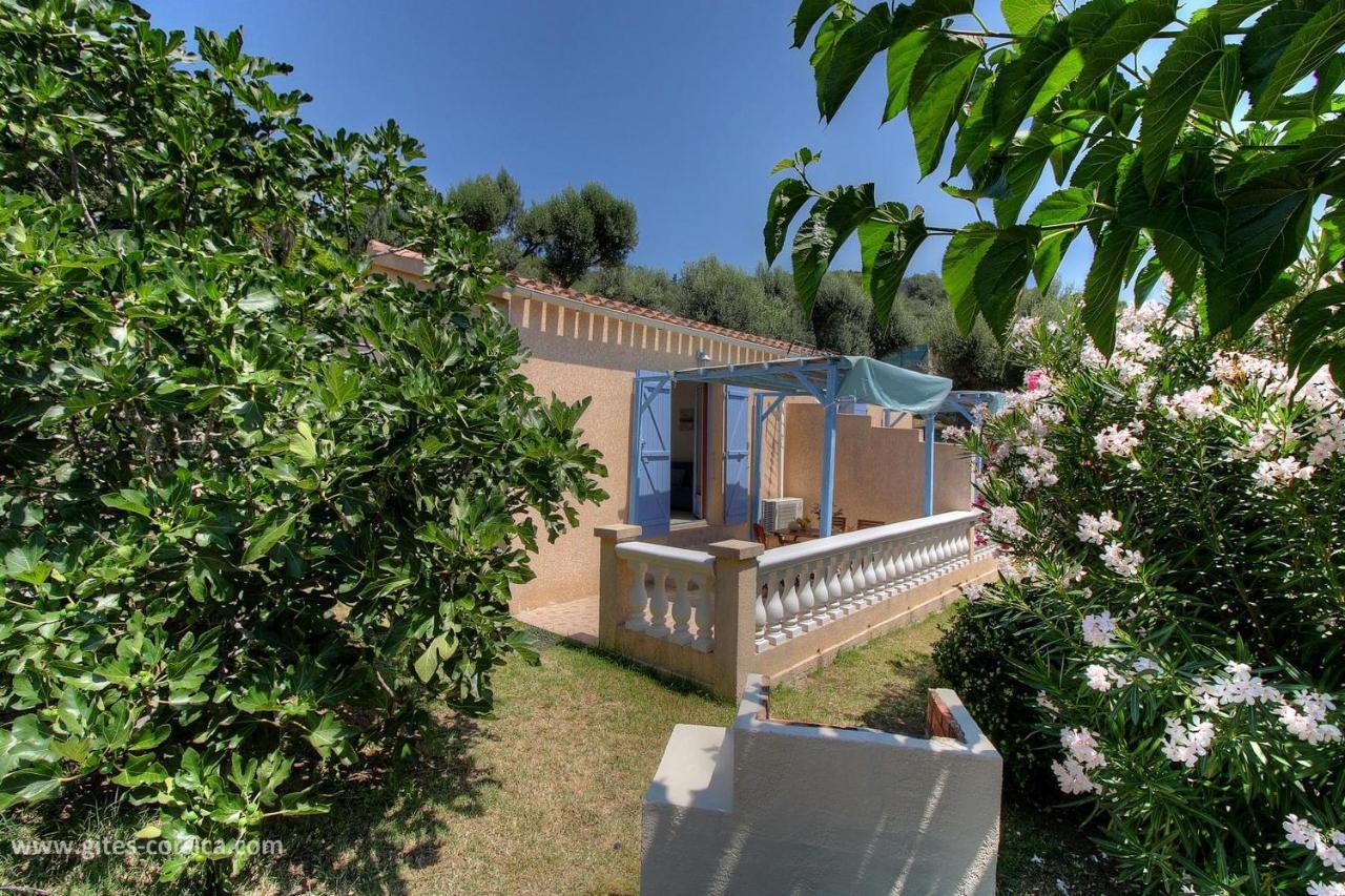 L'Amandier -Le Figuier-Les Lauriers Roses Ajaccio  Esterno foto