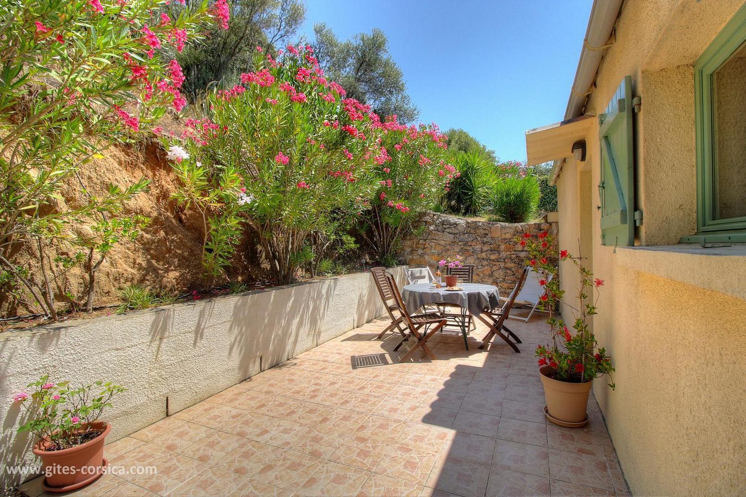 L'Amandier -Le Figuier-Les Lauriers Roses Ajaccio  Esterno foto