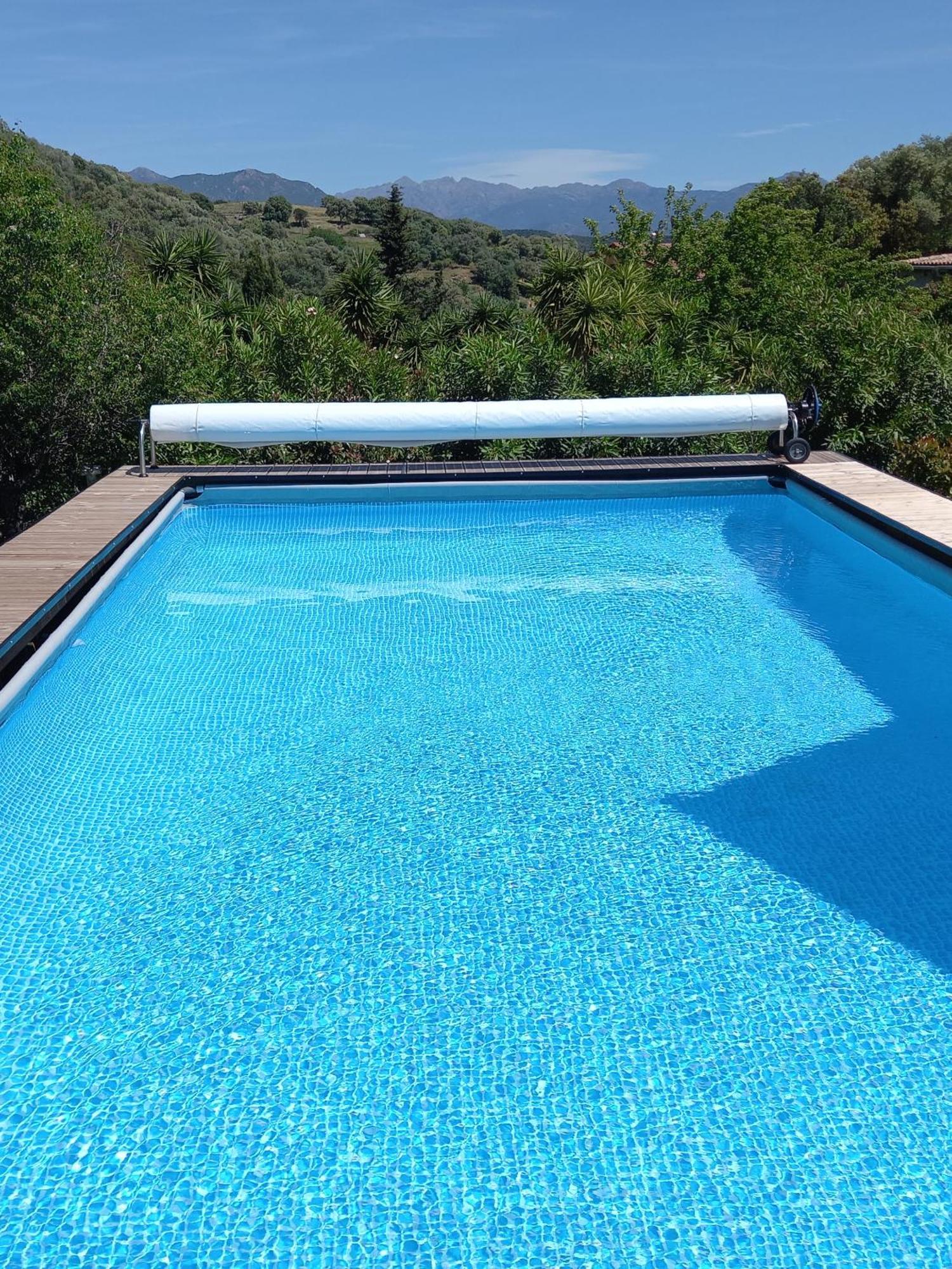 L'Amandier -Le Figuier-Les Lauriers Roses Ajaccio  Esterno foto